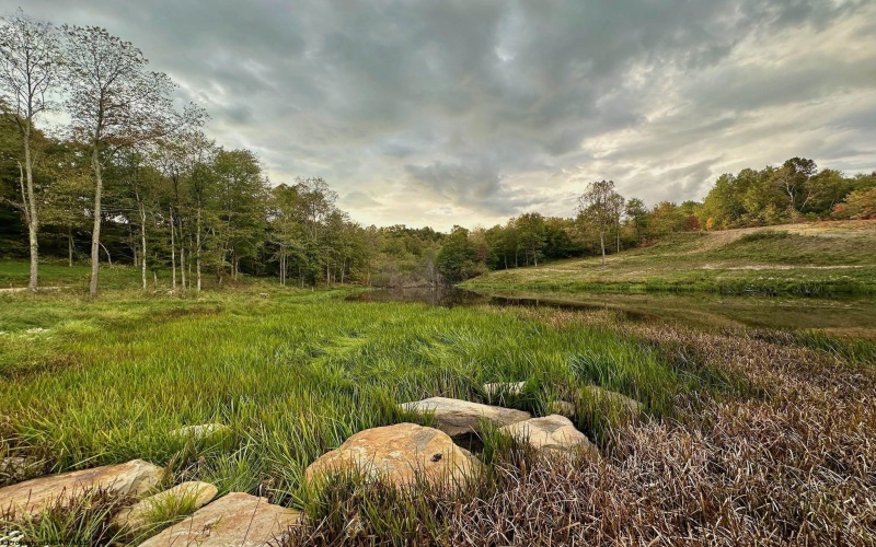 Lot 19 Island Run Road, Junior, West Virginia 26275, ,Lots/land,For Sale,Island Run,10157987