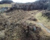TBD Morgantown Pike, Moatsville, West Virginia 26405, ,Lots/land,For Sale,Morgantown,10152342