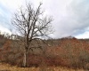 TBD Morgantown Pike, Moatsville, West Virginia 26405, ,Lots/land,For Sale,Morgantown,10152342