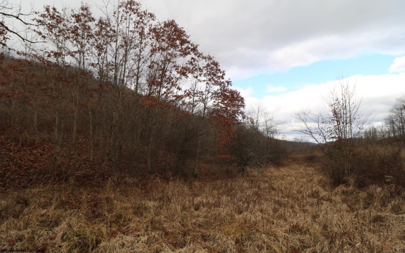 TBD Morgantown Pike, Moatsville, West Virginia 26405, ,Lots/land,For Sale,Morgantown,10152342