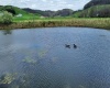 TBD Morgantown Pike, Moatsville, West Virginia 26405, ,Lots/land,For Sale,Morgantown,10152342