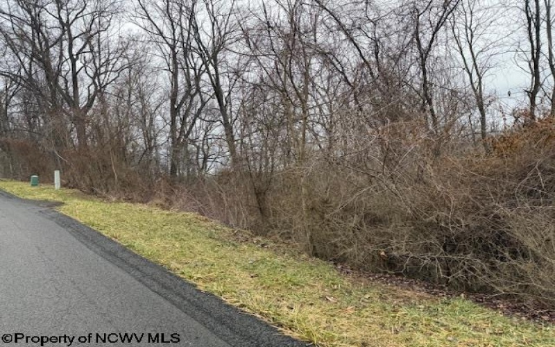 Lot 28 South Point Circle, Morgantown, West Virginia 26508, ,Lots/land,For Sale,South Point,10158015