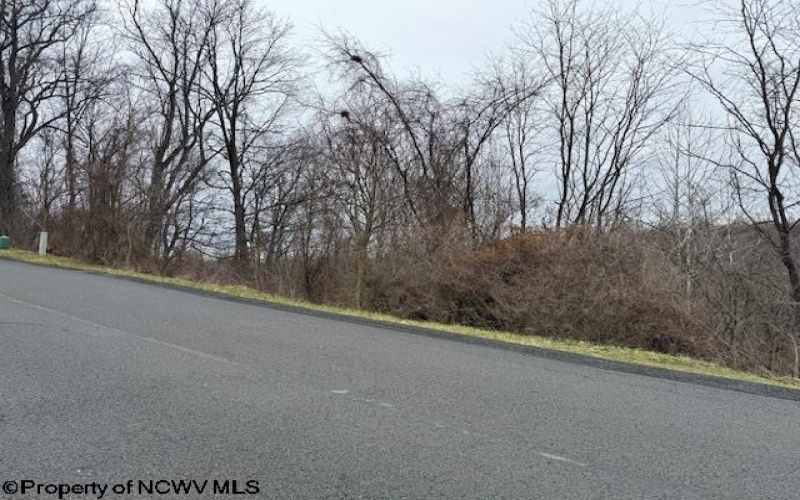 Lot 28 South Point Circle, Morgantown, West Virginia 26508, ,Lots/land,For Sale,South Point,10158015