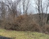 Lot 28 South Point Circle, Morgantown, West Virginia 26508, ,Lots/land,For Sale,South Point,10158015