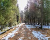 Lot 55 Watersound Trace, Bruceton Mills, West Virginia 26525, ,Lots/land,For Sale,Watersound,10158024