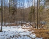 Lot 55 Watersound Trace, Bruceton Mills, West Virginia 26525, ,Lots/land,For Sale,Watersound,10158024
