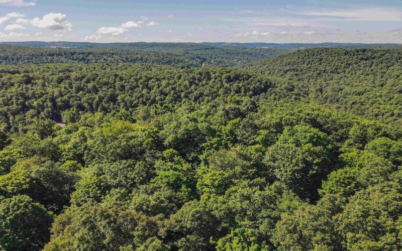 TBD Whitewater Parkway, Bruceton Mills, West Virginia 26525, ,Lots/land,For Sale,Whitewater,10158027