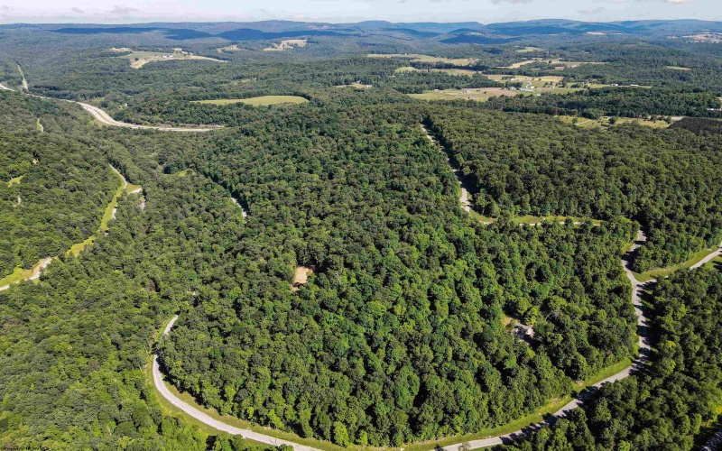 TBD Whitewater Parkway, Bruceton Mills, West Virginia 26525, ,Lots/land,For Sale,Whitewater,10158027
