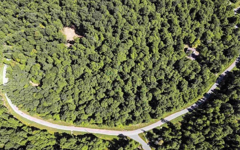 TBD Whitewater Parkway, Bruceton Mills, West Virginia 26525, ,Lots/land,For Sale,Whitewater,10158027