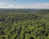 TBD Whitewater Parkway, Bruceton Mills, West Virginia 26525, ,Lots/land,For Sale,Whitewater,10158027