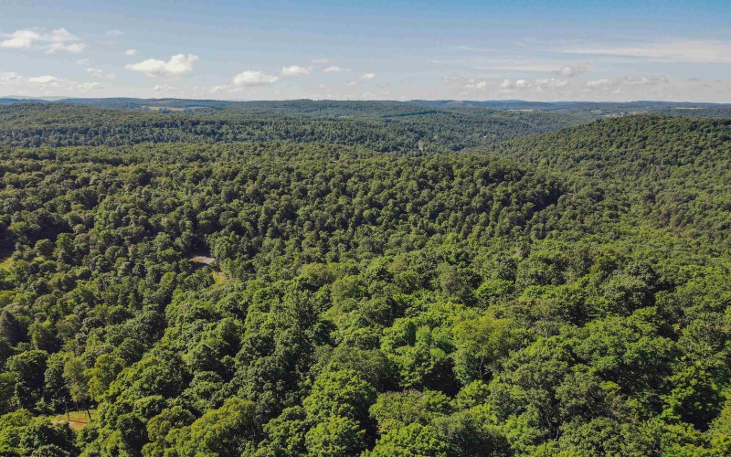 TBD Whitewater Parkway, Bruceton Mills, West Virginia 26525, ,Lots/land,For Sale,Whitewater,10158027