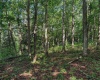 TBD Whitewater Parkway, Bruceton Mills, West Virginia 26525, ,Lots/land,For Sale,Whitewater,10158027