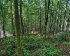 TBD Whitewater Parkway, Bruceton Mills, West Virginia 26525, ,Lots/land,For Sale,Whitewater,10158027