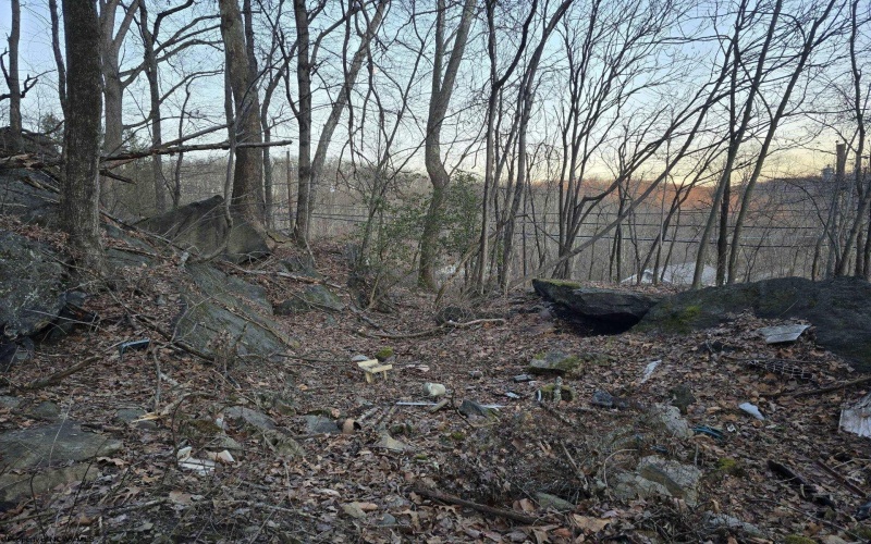 167 Lincoln Street, Grafton, West Virginia 26354, ,Lots/land,For Sale,Lincoln,10158028