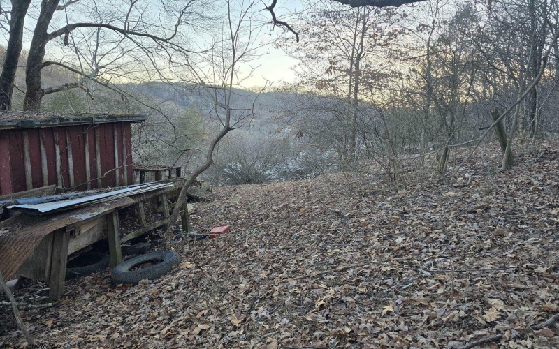 167 Lincoln Street, Grafton, West Virginia 26354, ,Lots/land,For Sale,Lincoln,10158028