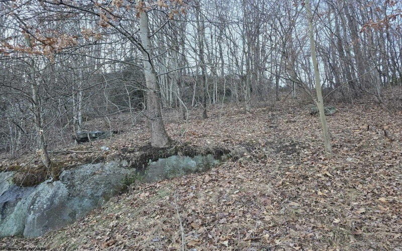 167 Lincoln Street, Grafton, West Virginia 26354, ,Lots/land,For Sale,Lincoln,10158028