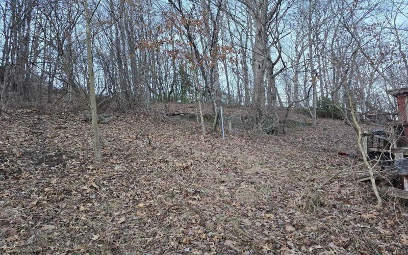 167 Lincoln Street, Grafton, West Virginia 26354, ,Lots/land,For Sale,Lincoln,10158028