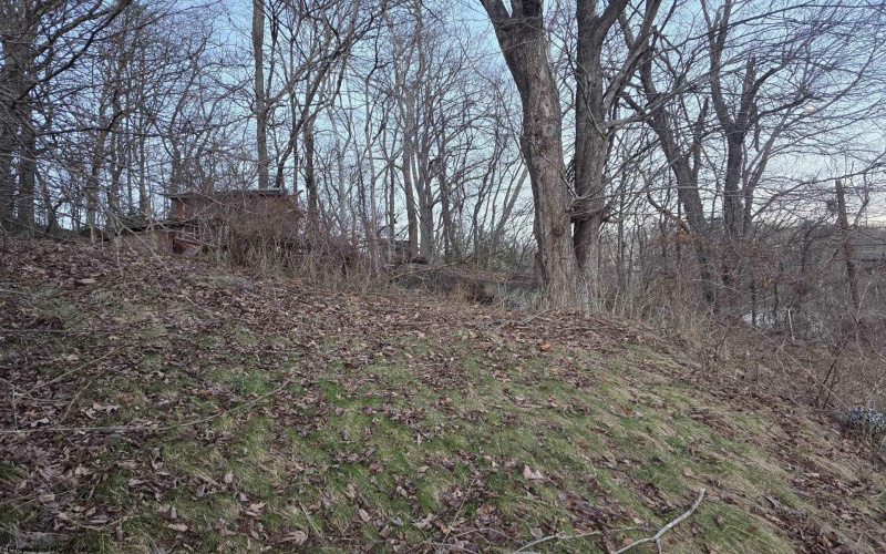 167 Lincoln Street, Grafton, West Virginia 26354, ,Lots/land,For Sale,Lincoln,10158028