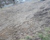167 Lincoln Street, Grafton, West Virginia 26354, ,Lots/land,For Sale,Lincoln,10158028