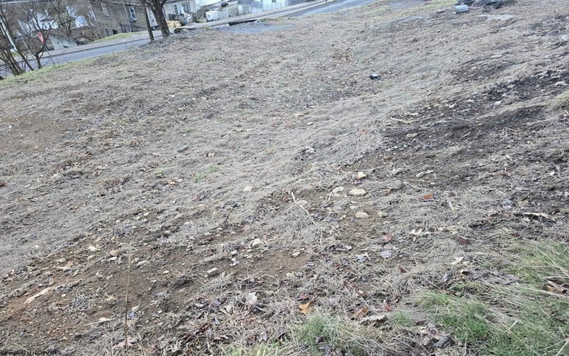 167 Lincoln Street, Grafton, West Virginia 26354, ,Lots/land,For Sale,Lincoln,10158028