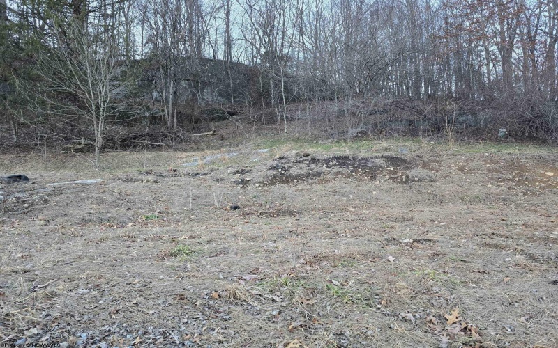 167 Lincoln Street, Grafton, West Virginia 26354, ,Lots/land,For Sale,Lincoln,10158028