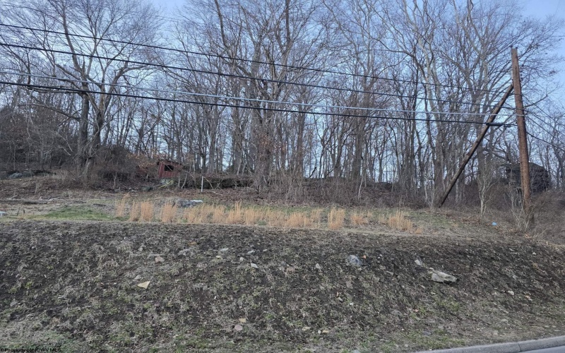 167 Lincoln Street, Grafton, West Virginia 26354, ,Lots/land,For Sale,Lincoln,10158028