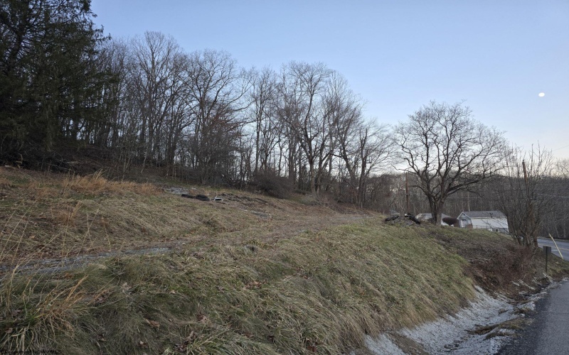167 Lincoln Street, Grafton, West Virginia 26354, ,Lots/land,For Sale,Lincoln,10158028