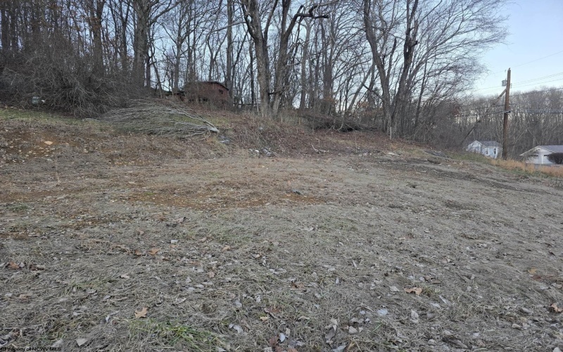 167 Lincoln Street, Grafton, West Virginia 26354, ,Lots/land,For Sale,Lincoln,10158028
