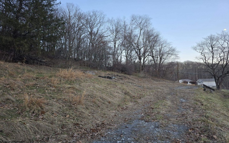 167 Lincoln Street, Grafton, West Virginia 26354, ,Lots/land,For Sale,Lincoln,10158028