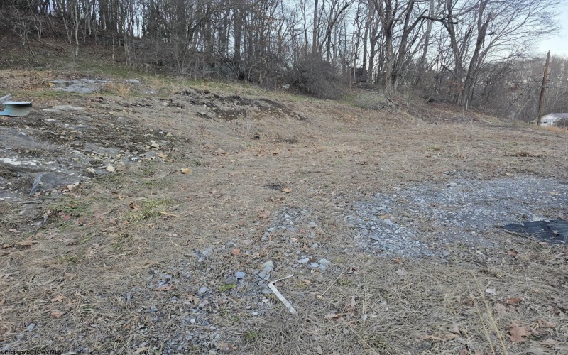 167 Lincoln Street, Grafton, West Virginia 26354, ,Lots/land,For Sale,Lincoln,10158028