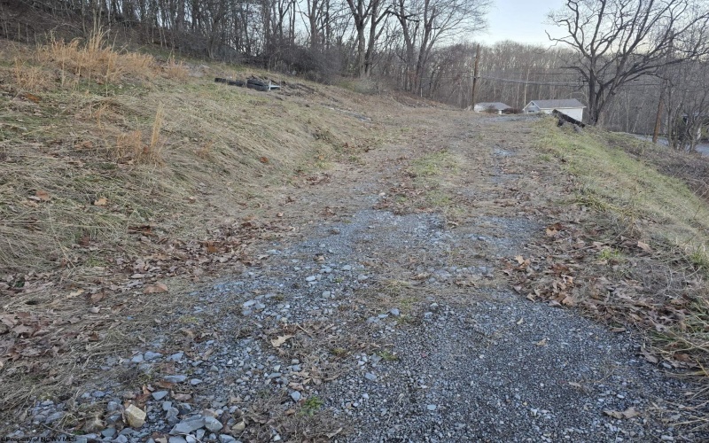167 Lincoln Street, Grafton, West Virginia 26354, ,Lots/land,For Sale,Lincoln,10158028