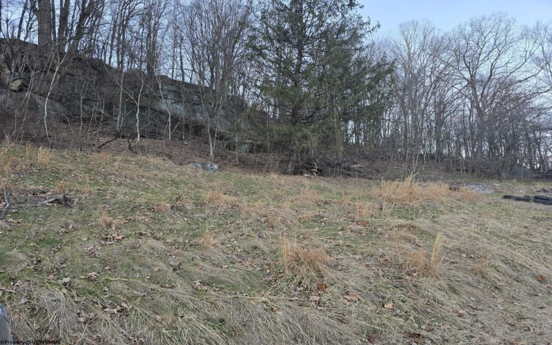 167 Lincoln Street, Grafton, West Virginia 26354, ,Lots/land,For Sale,Lincoln,10158028