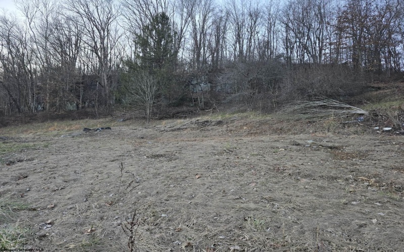 167 Lincoln Street, Grafton, West Virginia 26354, ,Lots/land,For Sale,Lincoln,10158028