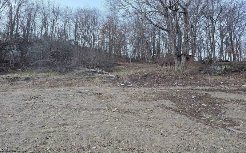 167 Lincoln Street, Grafton, West Virginia 26354, ,Lots/land,For Sale,Lincoln,10158028