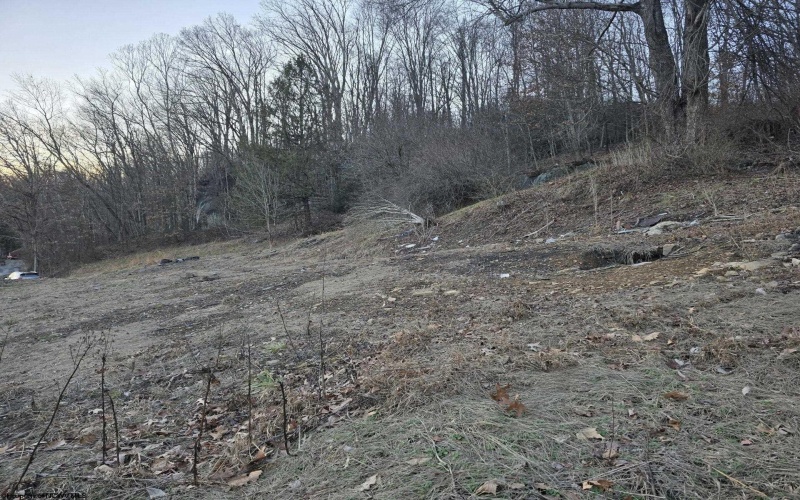 167 Lincoln Street, Grafton, West Virginia 26354, ,Lots/land,For Sale,Lincoln,10158028