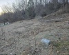 167 Lincoln Street, Grafton, West Virginia 26354, ,Lots/land,For Sale,Lincoln,10158028