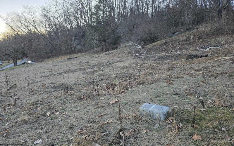 167 Lincoln Street, Grafton, West Virginia 26354, ,Lots/land,For Sale,Lincoln,10158028