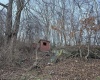 167 Lincoln Street, Grafton, West Virginia 26354, ,Lots/land,For Sale,Lincoln,10158028
