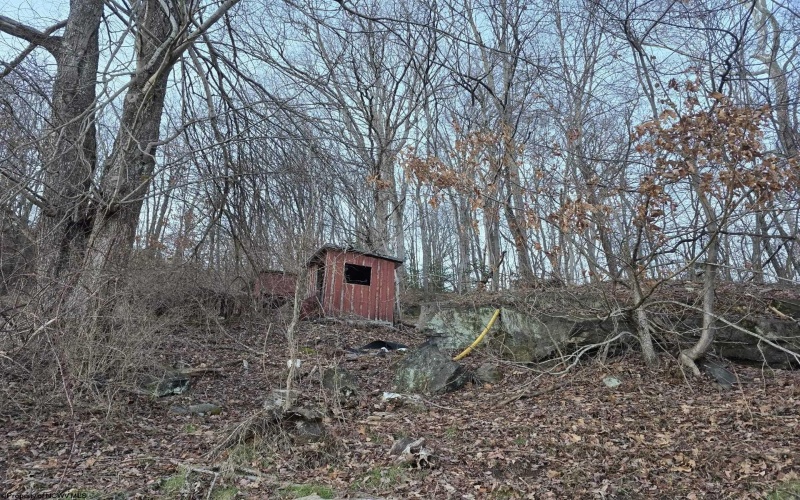 167 Lincoln Street, Grafton, West Virginia 26354, ,Lots/land,For Sale,Lincoln,10158028