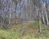 108 Iris Lane, Morgantown, West Virginia 26501, ,Lots/land,For Sale,Iris,10158050