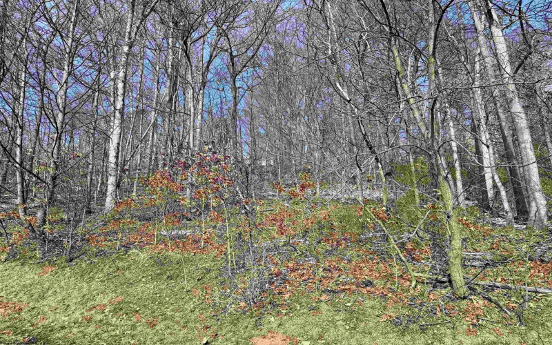 108 Iris Lane, Morgantown, West Virginia 26501, ,Lots/land,For Sale,Iris,10158050