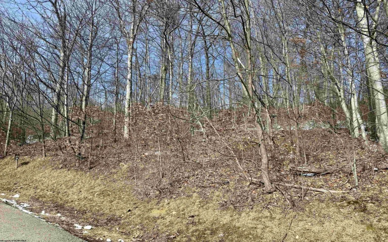 108 Iris Lane, Morgantown, West Virginia 26501, ,Lots/land,For Sale,Iris,10158050