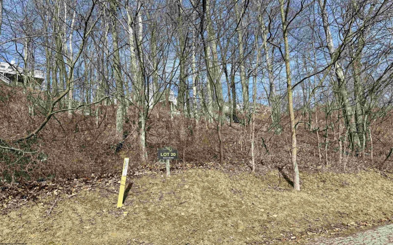 114 Iris Lane, Morgantown, West Virginia 26501, ,Lots/land,For Sale,Iris,10158051