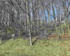 114 Iris Lane, Morgantown, West Virginia 26501, ,Lots/land,For Sale,Iris,10158051