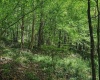 3372 Dinkenberger Road, Kingwood, West Virginia 26537, ,Lots/land,For Sale,Dinkenberger,10158052