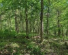 3372 Dinkenberger Road, Kingwood, West Virginia 26537, ,Lots/land,For Sale,Dinkenberger,10158052