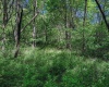 3372 Dinkenberger Road, Kingwood, West Virginia 26537, ,Lots/land,For Sale,Dinkenberger,10158052