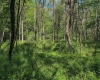 3372 Dinkenberger Road, Kingwood, West Virginia 26537, ,Lots/land,For Sale,Dinkenberger,10158052