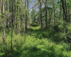 3372 Dinkenberger Road, Kingwood, West Virginia 26537, ,Lots/land,For Sale,Dinkenberger,10158052