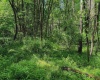 3372 Dinkenberger Road, Kingwood, West Virginia 26537, ,Lots/land,For Sale,Dinkenberger,10158052